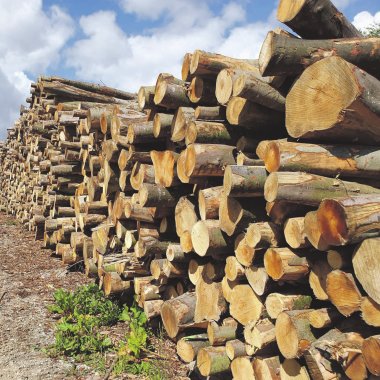 Brændetilbud Faxe- og Næstved Kommune